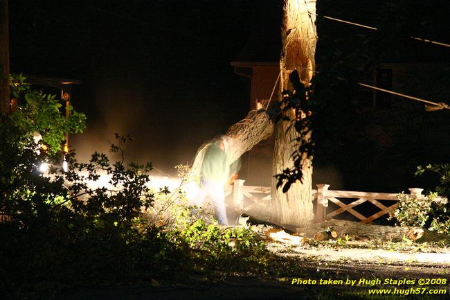 Tree cleanup in front of my house � 4� days later