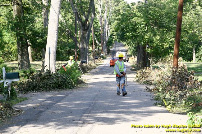 Tree cleanup in front of my house � 4� days later
