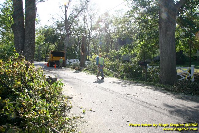 Tree cleanup in front of my house � 4� days later