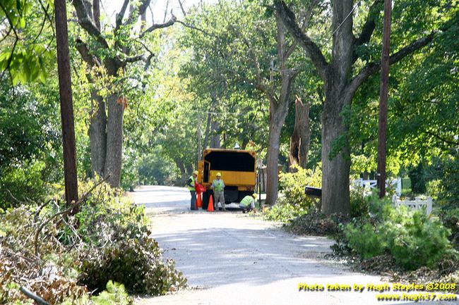 Tree cleanup in front of my house � 4� days later