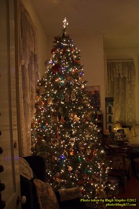 The Bozinis Annual Christmas Party &mdash; 2012.1