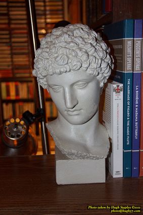 The Bozinis Annual Christmas Party &mdash; 2012.2