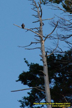 Boat Cruise on Pictured Rocks National Lakeshore