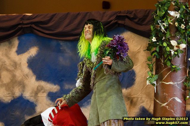 Cincinnati Shakespeare Company — 2013 Shakespeare in the Park production of William Shakespeare's A Midsummer Night's Dream