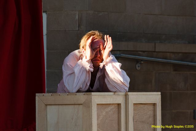 Cincinnati Shakespeare Company • 2015 Shakespeare in the Park production of William Shakespeare's A Midsummer Night's Dream