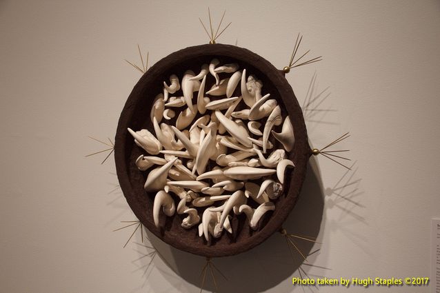 Special exhibition Ana England: Kinship