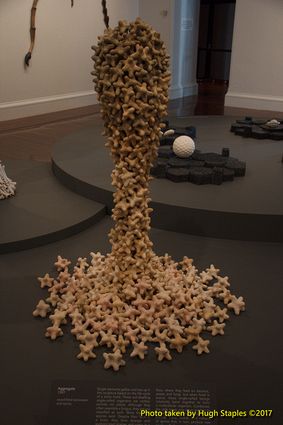 Special exhibition Ana England: Kinship