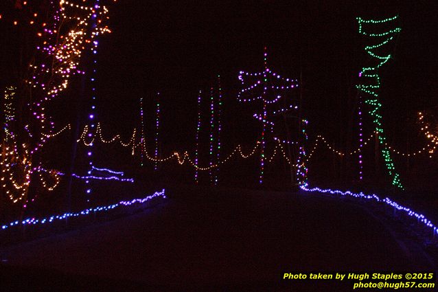 Christmas Lights at Pyramid Hill