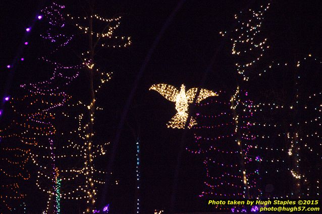 Christmas Lights at Pyramid Hill