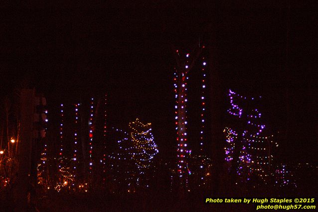 Christmas Lights at Pyramid Hill