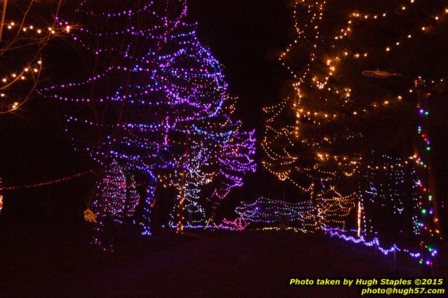 Christmas Lights at Pyramid Hill