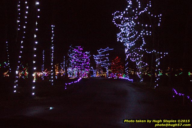 Christmas Lights at Pyramid Hill