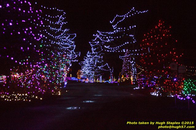 Christmas Lights at Pyramid Hill