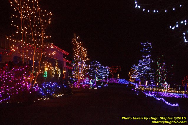 Christmas Lights at Pyramid Hill