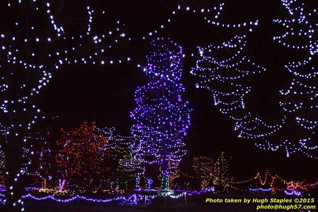 Christmas Lights at Pyramid Hill