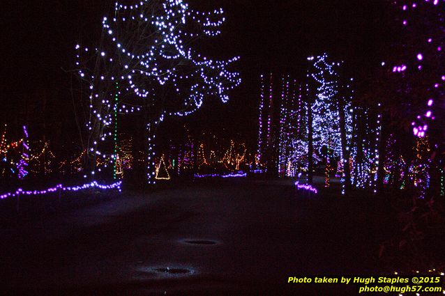 Christmas Lights at Pyramid Hill